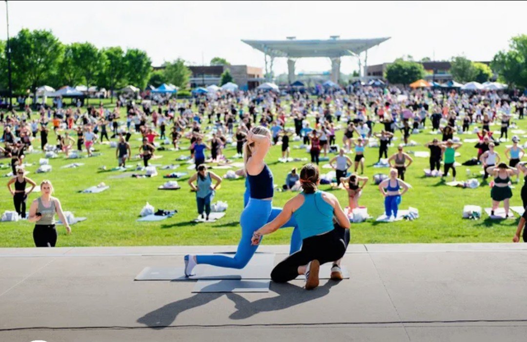 LIVE ENTERTAINMENT & SHOWS